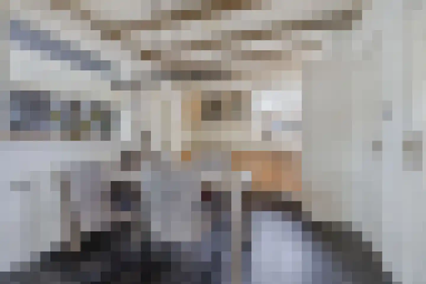 Pauloane 7 Harkema thumbnail 16