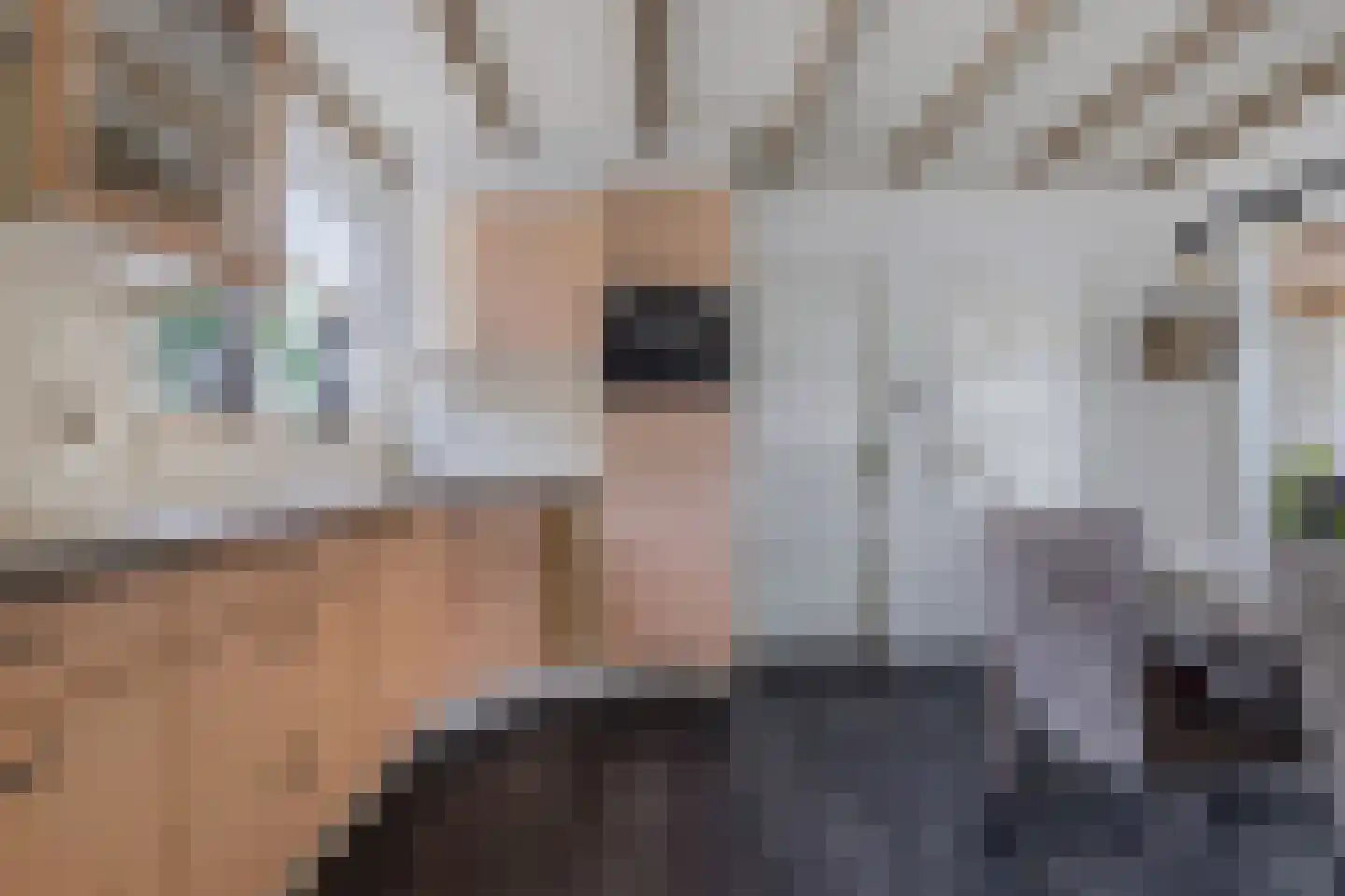Pauloane 7 Harkema thumbnail 18