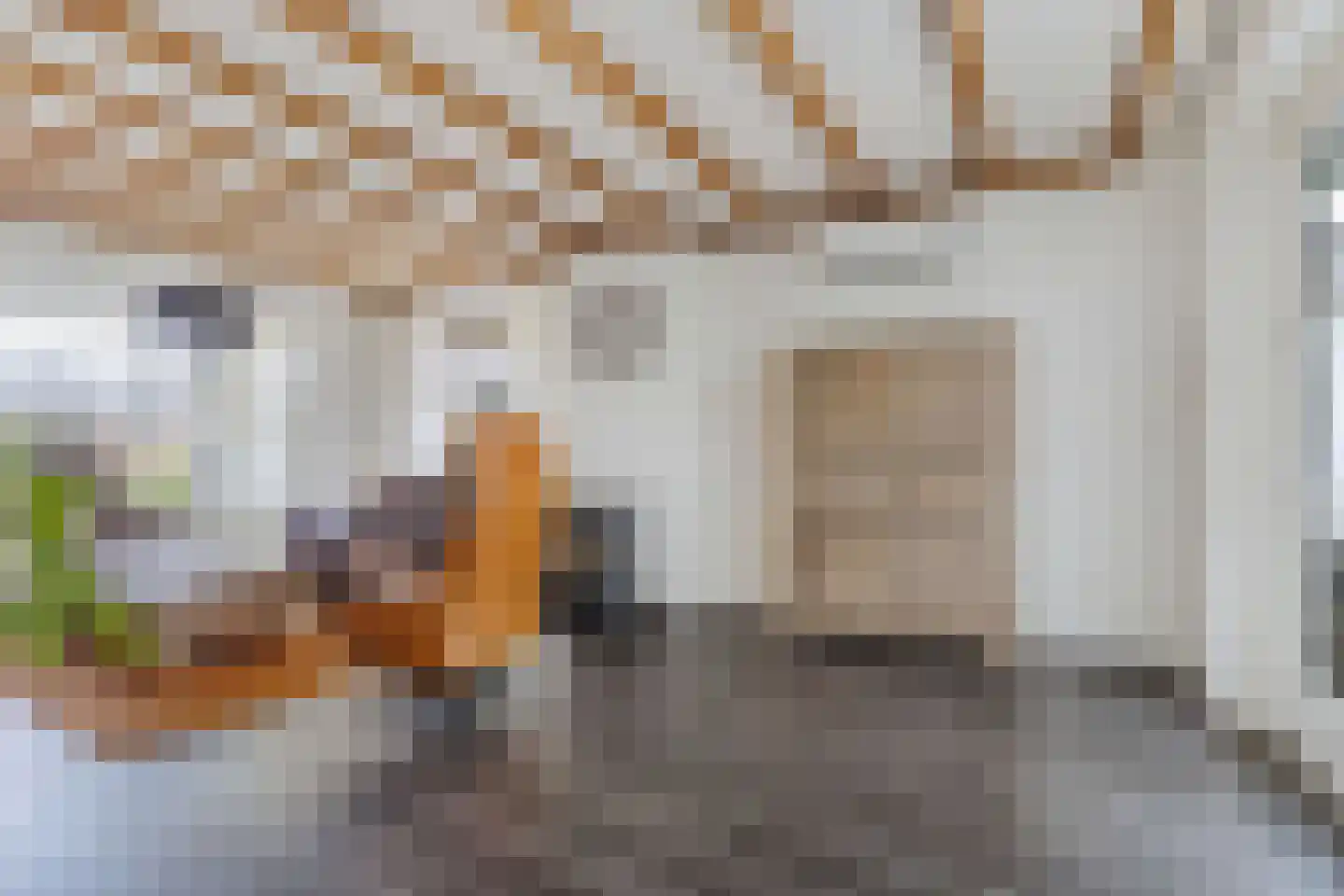Pauloane 7 Harkema thumbnail 20
