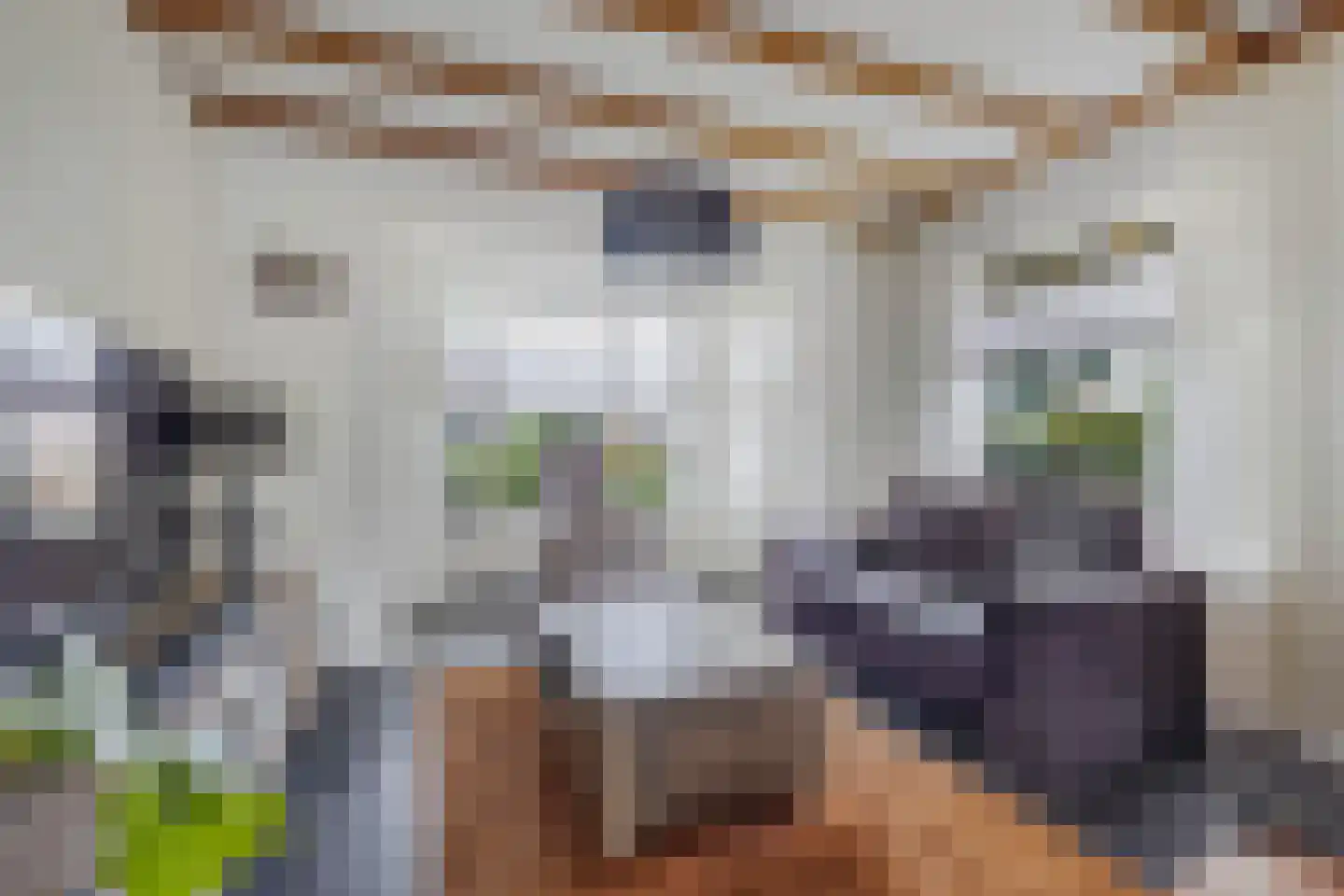 Pauloane 7 Harkema thumbnail 22