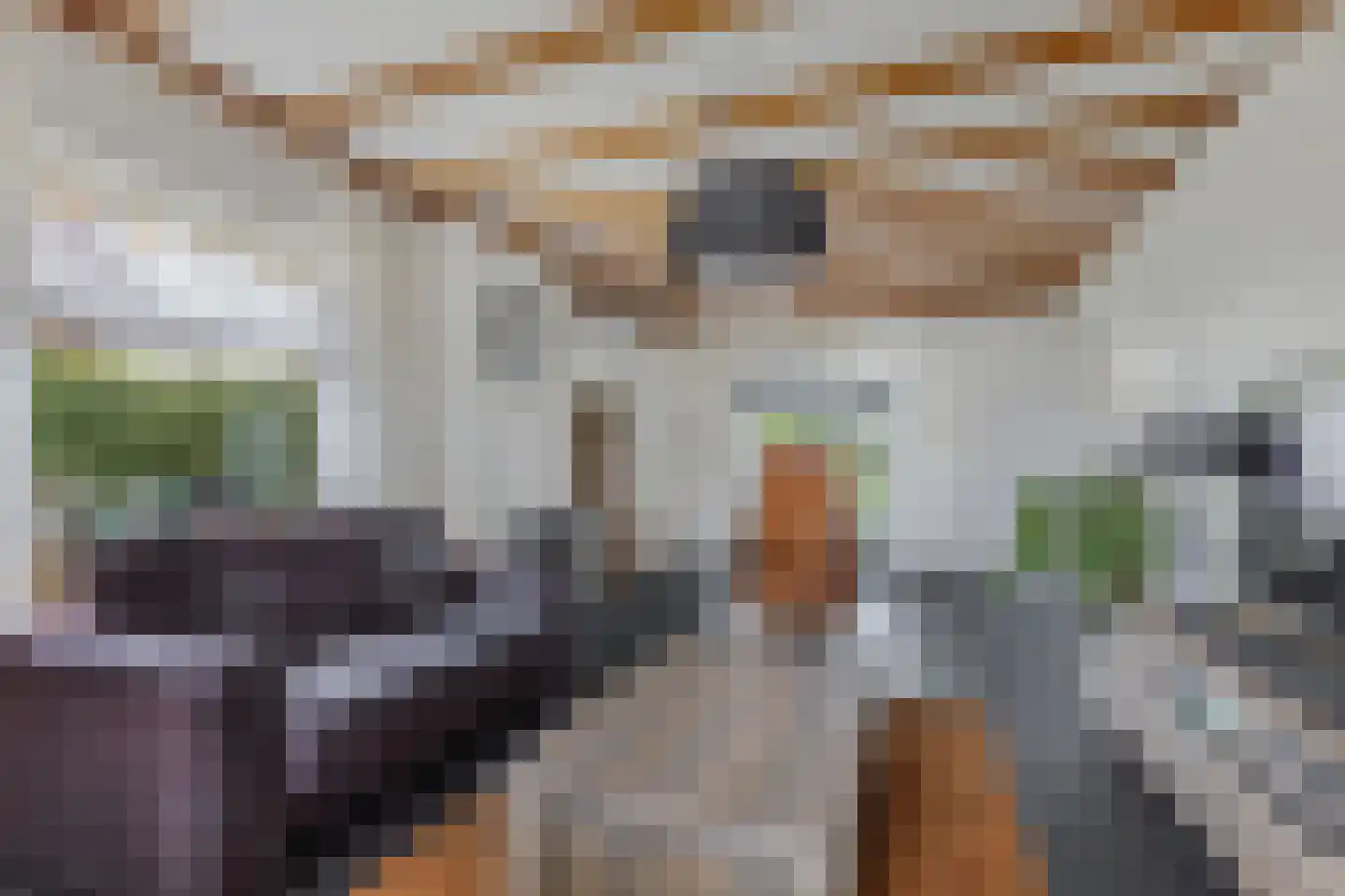 Pauloane 7 Harkema thumbnail 23