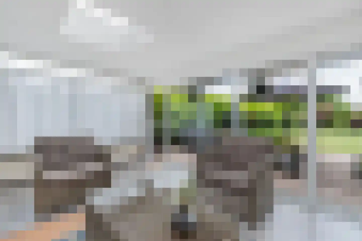 Pauloane 7 Harkema thumbnail 25