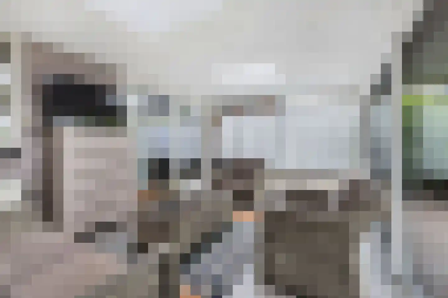 Pauloane 7 Harkema thumbnail 26