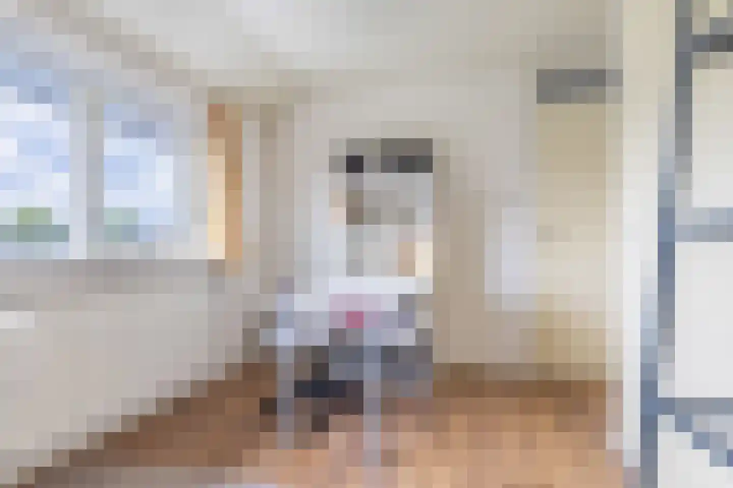 Pauloane 7 Harkema thumbnail 36