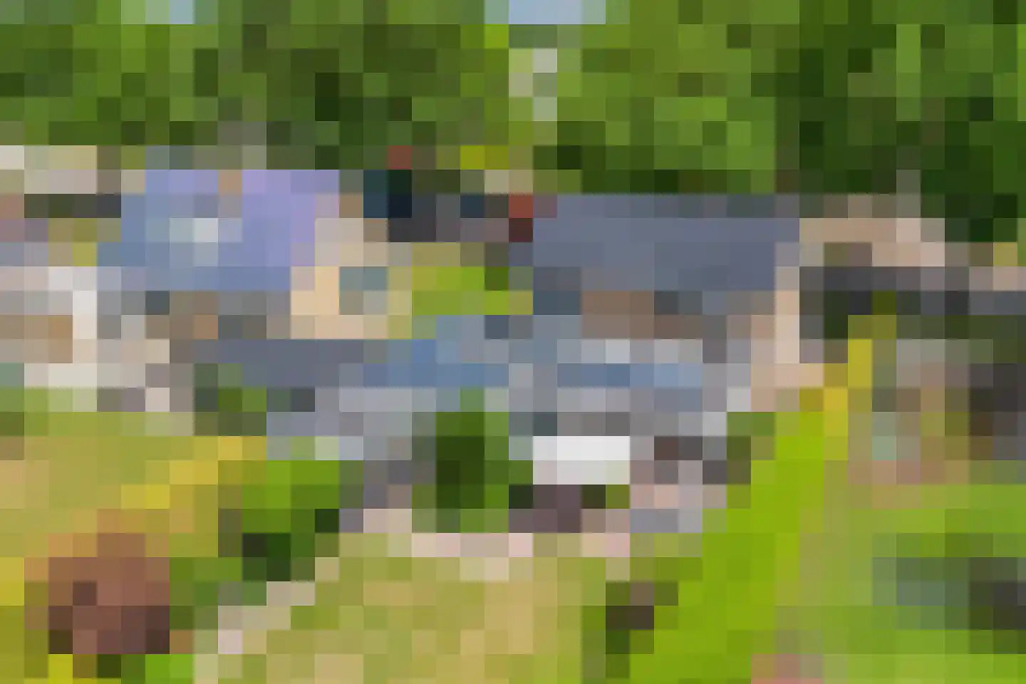 Pauloane 7 Harkema thumbnail 39