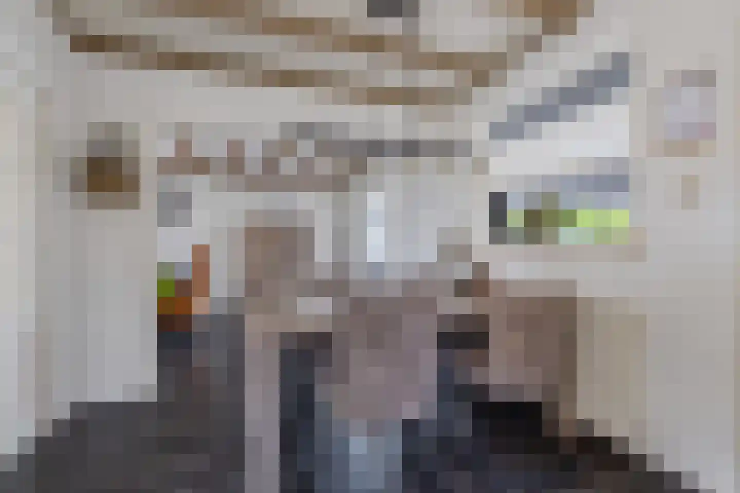 Pauloane 7 Harkema thumbnail 4
