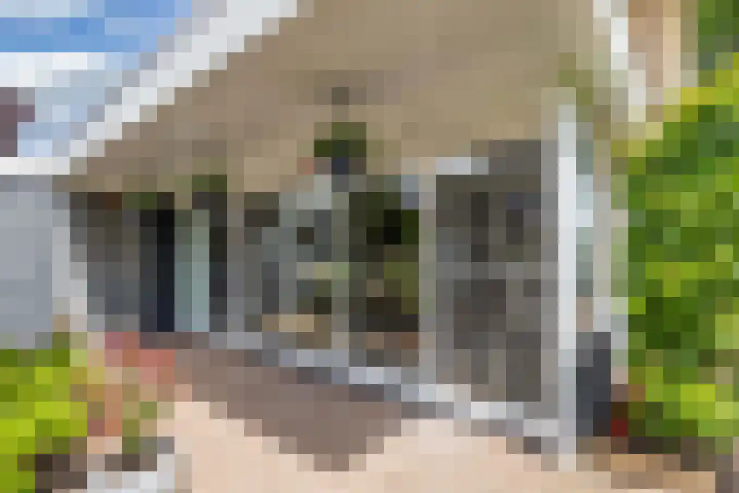 Pauloane 7 Harkema thumbnail 41