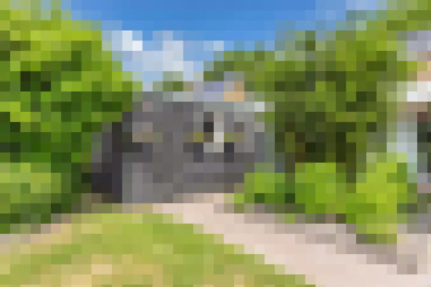 Pauloane 7 Harkema thumbnail 42