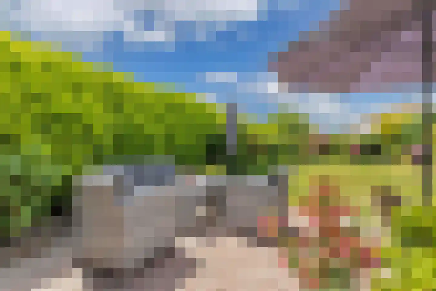Pauloane 7 Harkema thumbnail 43