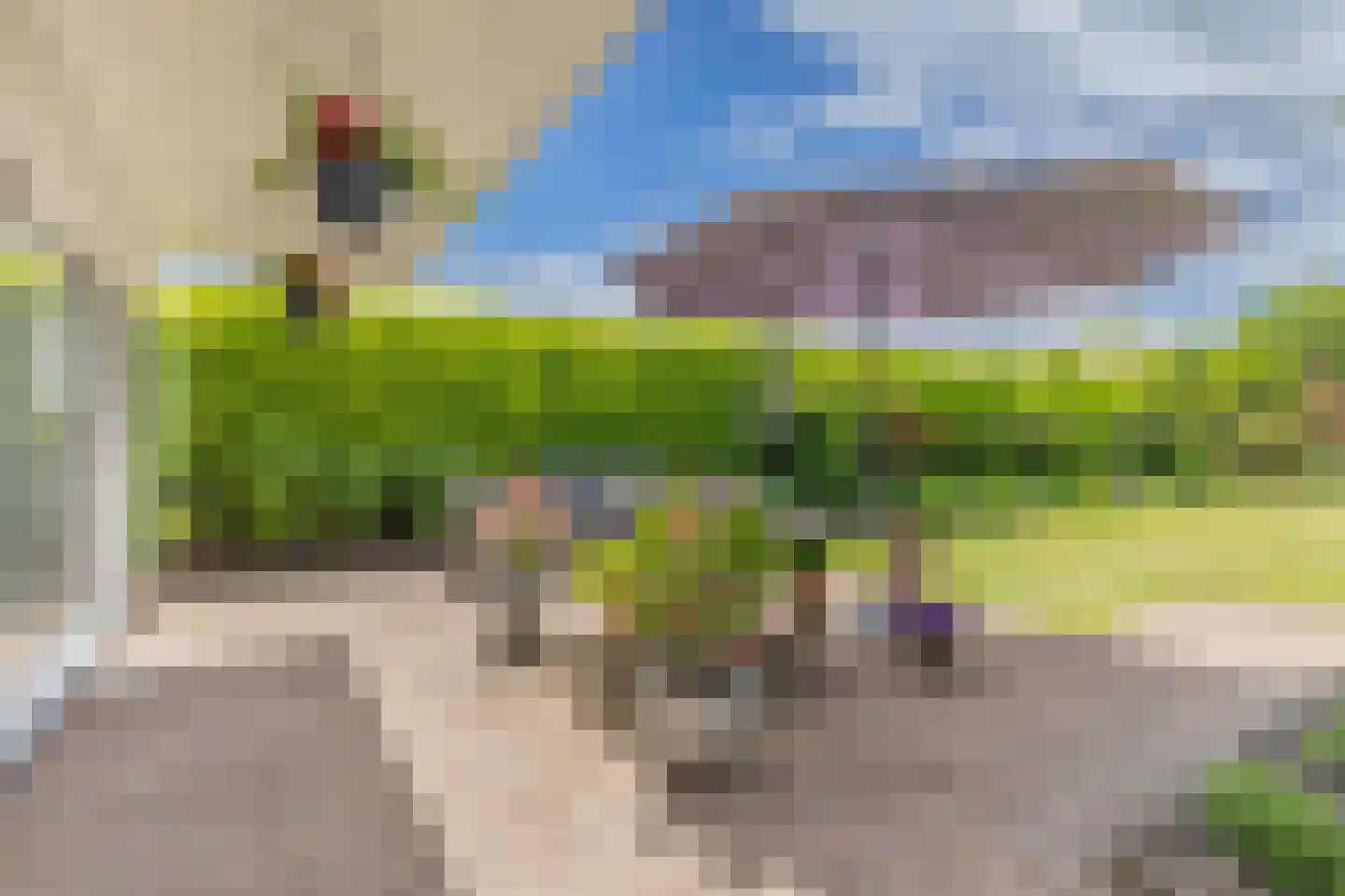 Pauloane 7 Harkema thumbnail 45