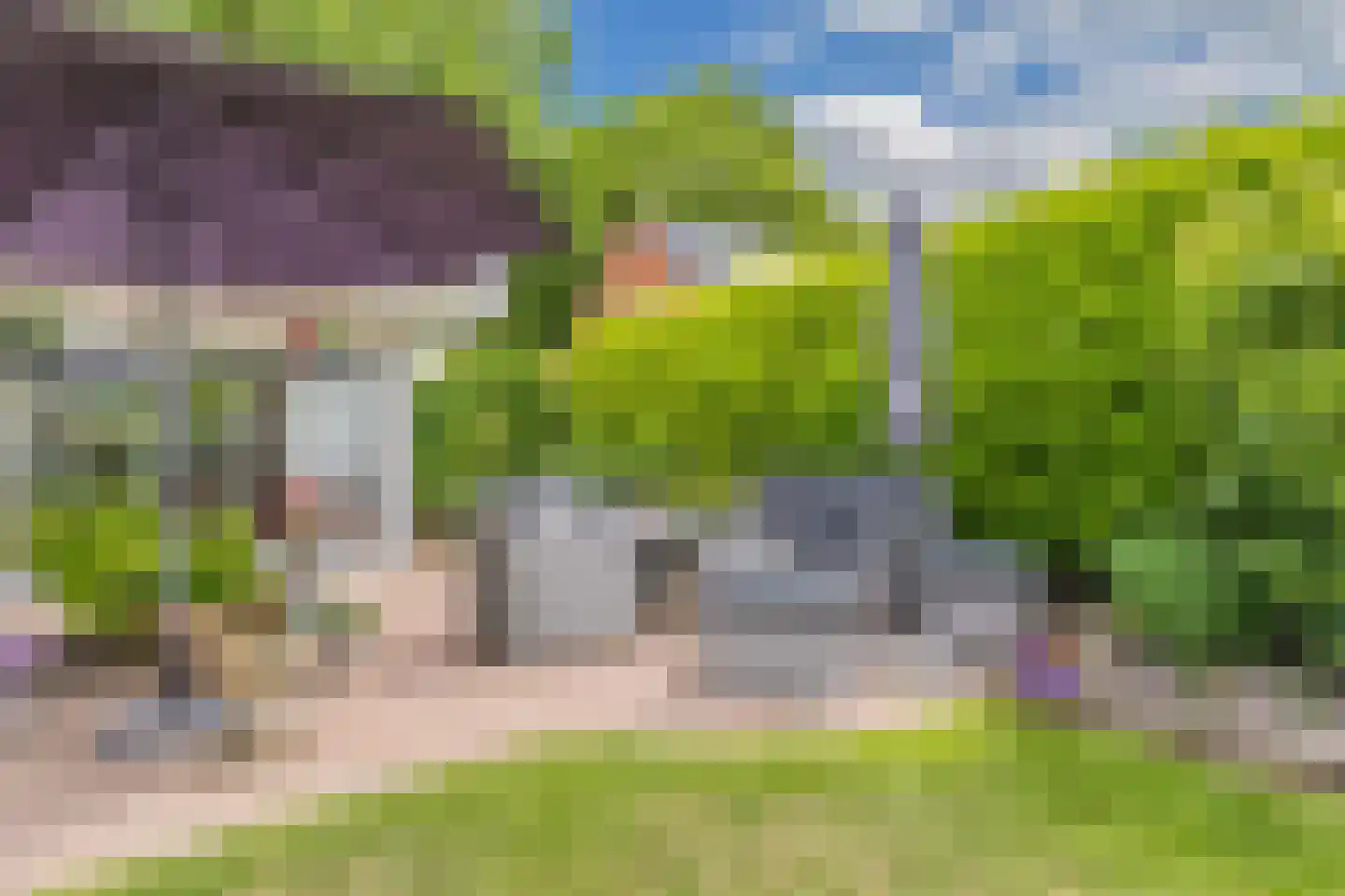 Pauloane 7 Harkema thumbnail 46