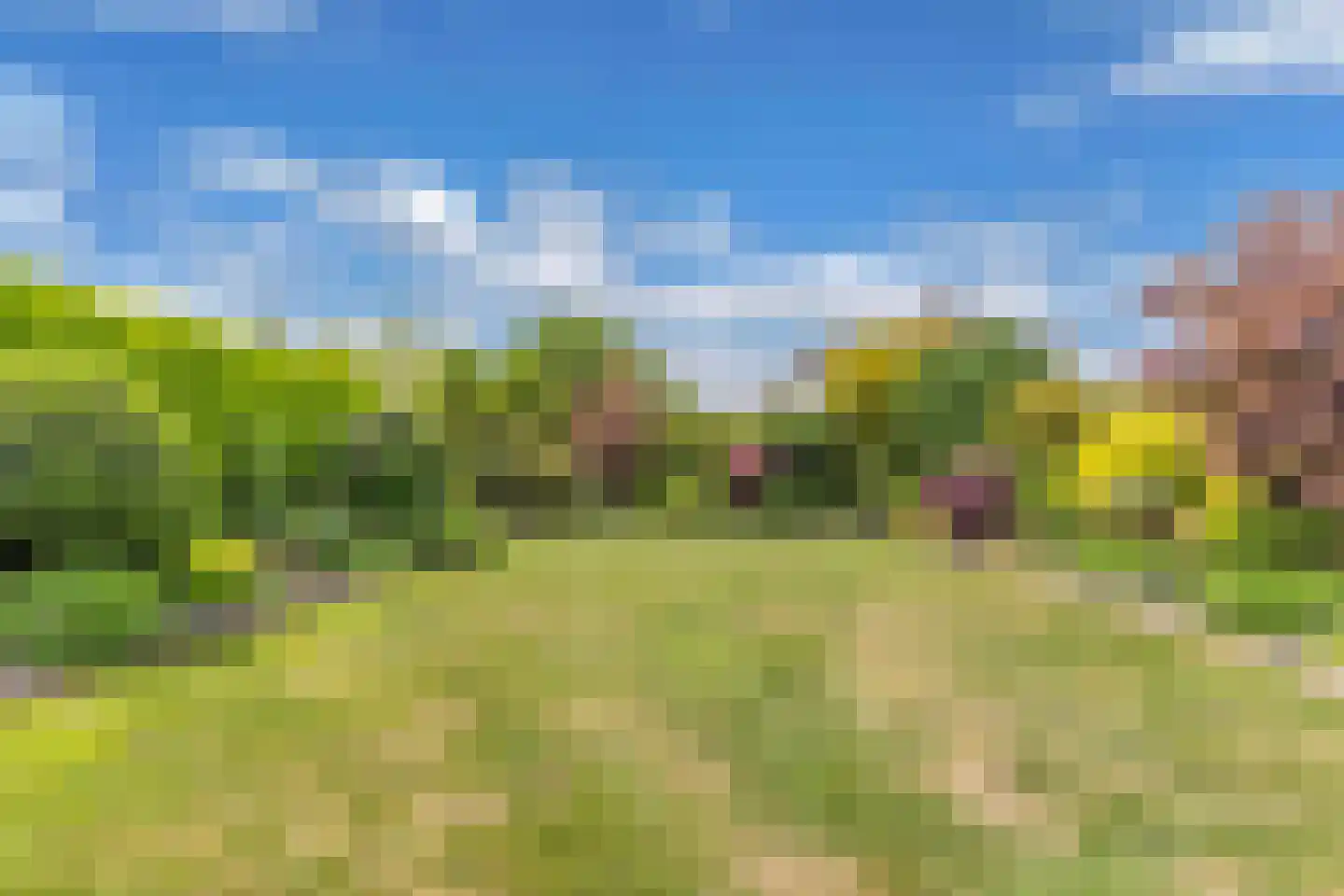 Pauloane 7 Harkema thumbnail 47