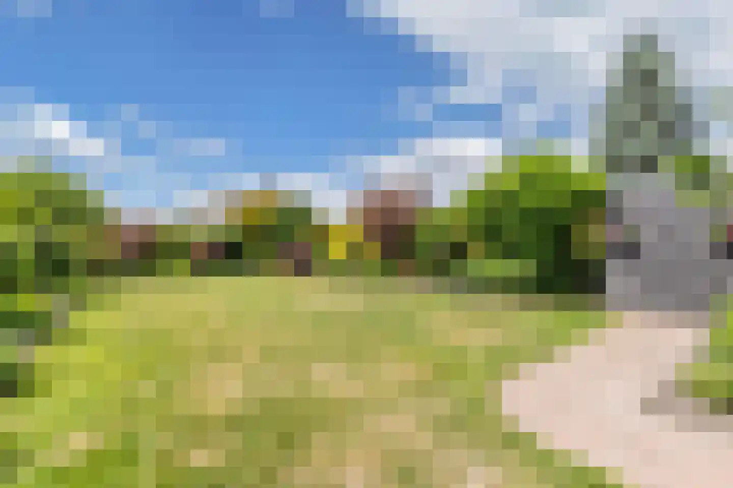 Pauloane 7 Harkema thumbnail 48