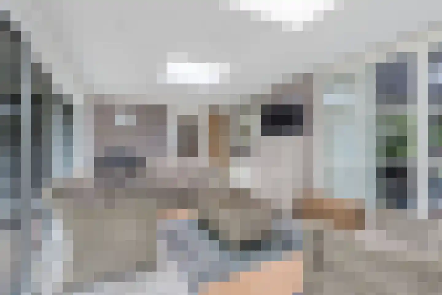 Pauloane 7 Harkema thumbnail 5