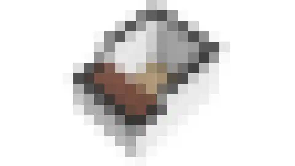 Pauloane 7 Harkema thumbnail 53