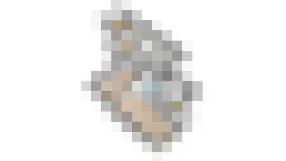 Pauloane 7 Harkema thumbnail 55