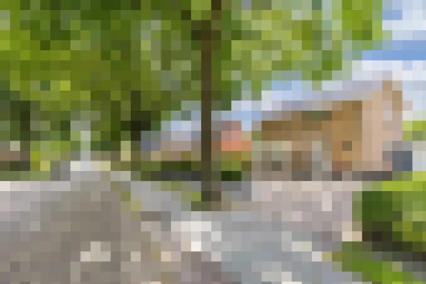 Pauloane 7 Harkema thumbnail 6