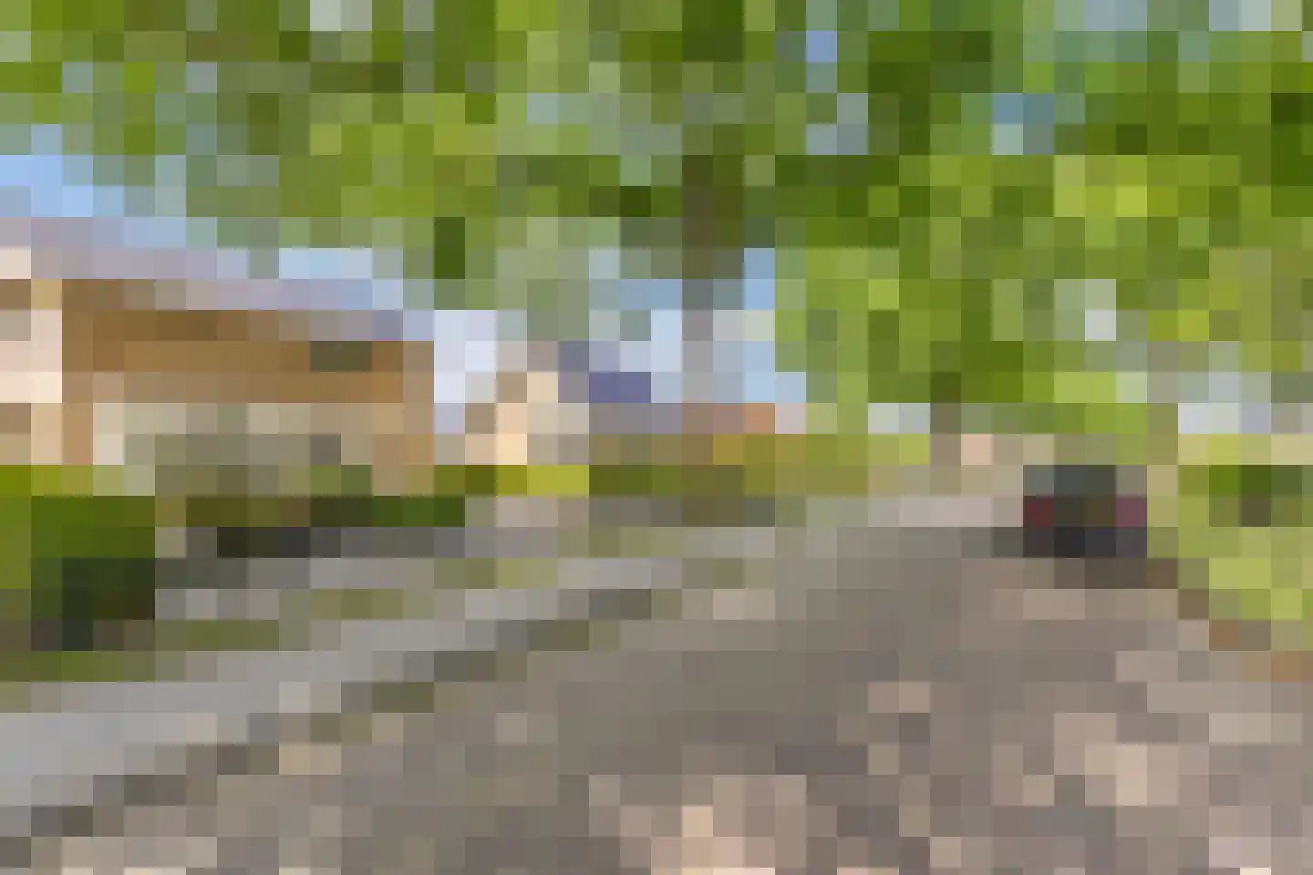 Pauloane 7 Harkema thumbnail 9