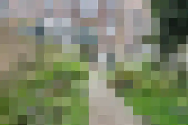 Paulstraat 100 Arnhem thumbnail 33