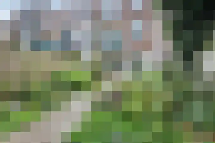 Paulstraat 100 Arnhem thumbnail 34