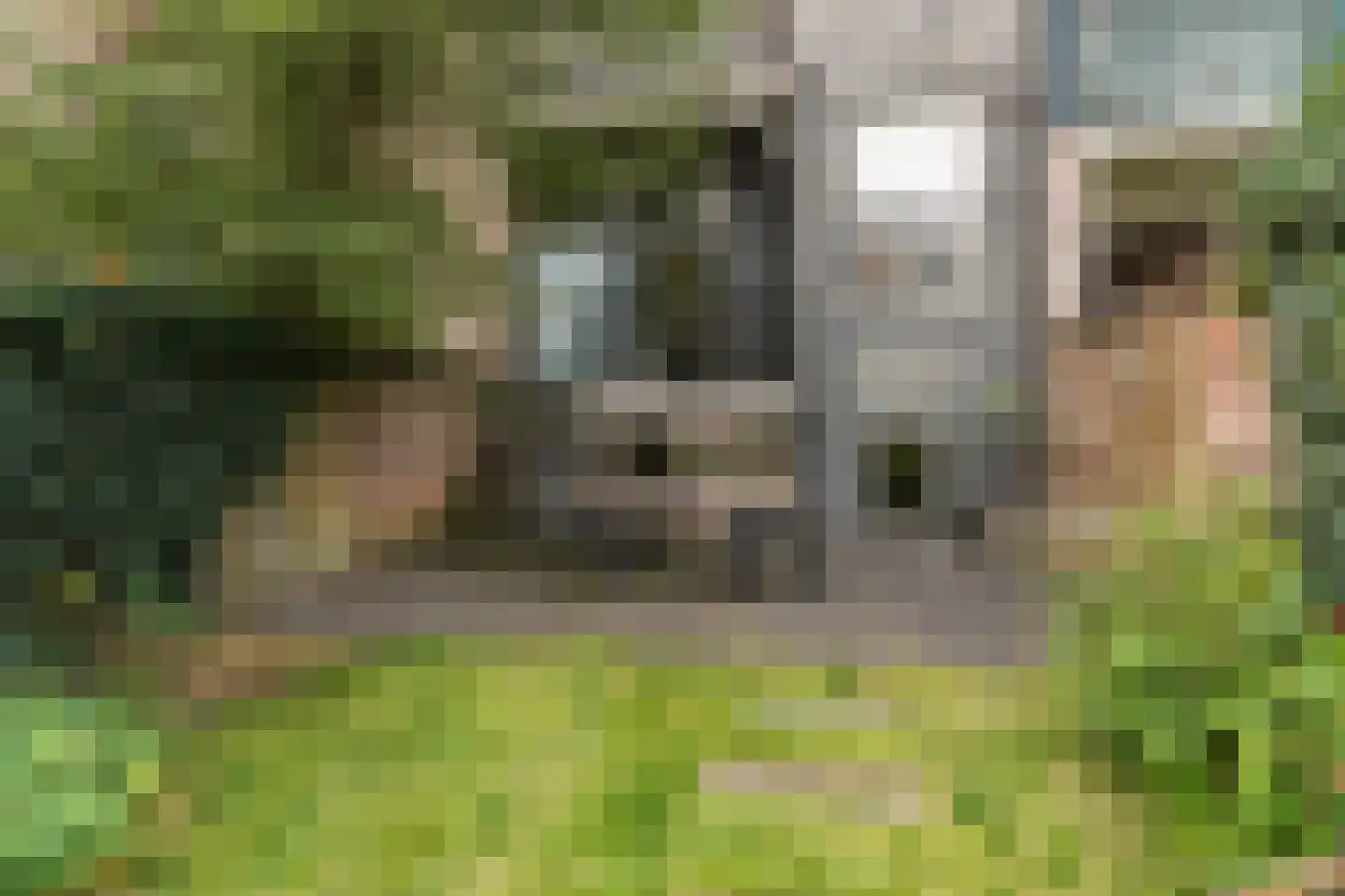 Paulstraat 106 Arnhem thumbnail 32
