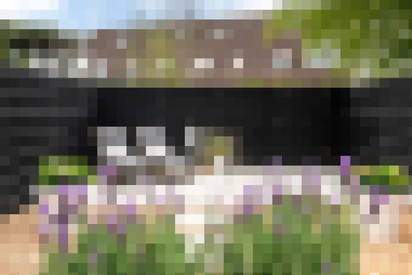 Paulus Akkermanwei 15 Leeuwarden thumbnail 22