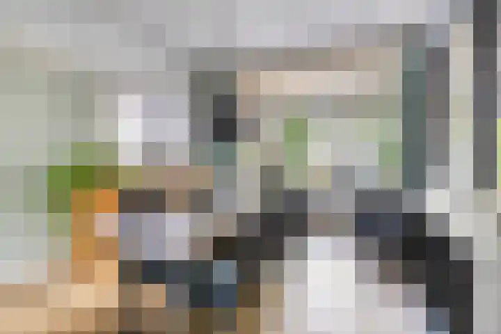 Paulus Backxstraat 2 Bergen op Zoom thumbnail 13