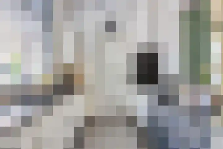 Paulus Backxstraat 2 Bergen op Zoom thumbnail 16