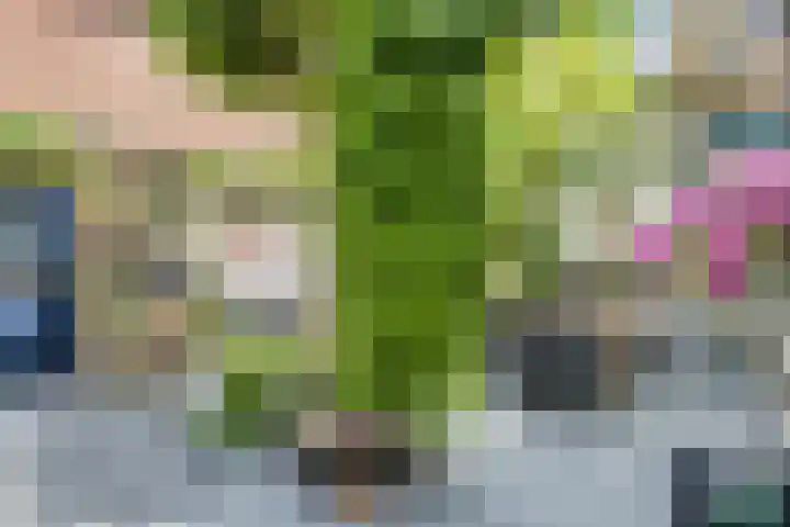 Paulus Backxstraat 2 Bergen op Zoom thumbnail 32