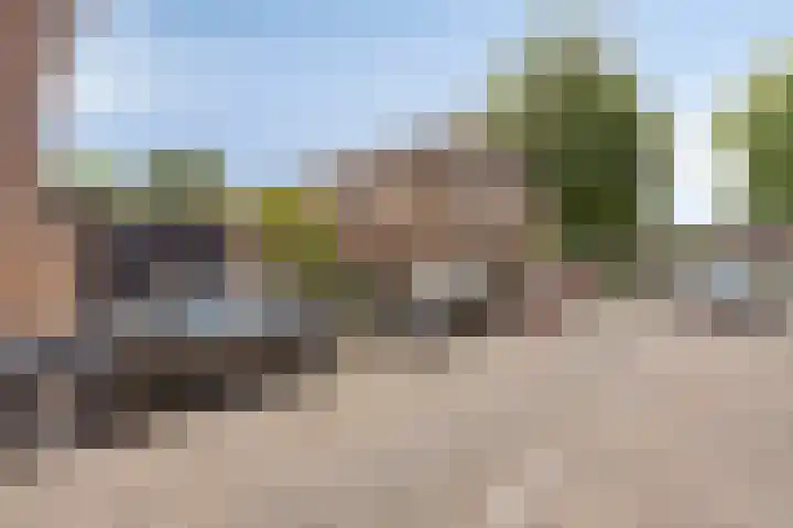 Paulus Backxstraat 2 Bergen op Zoom thumbnail 36