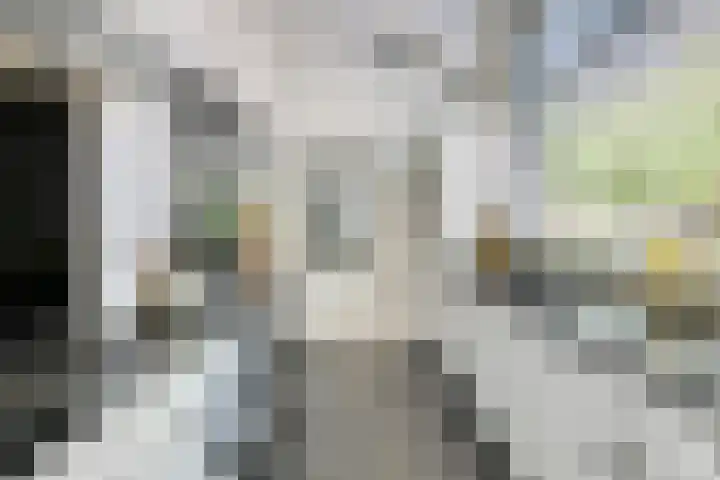 Paulus Backxstraat 2 Bergen op Zoom thumbnail 5