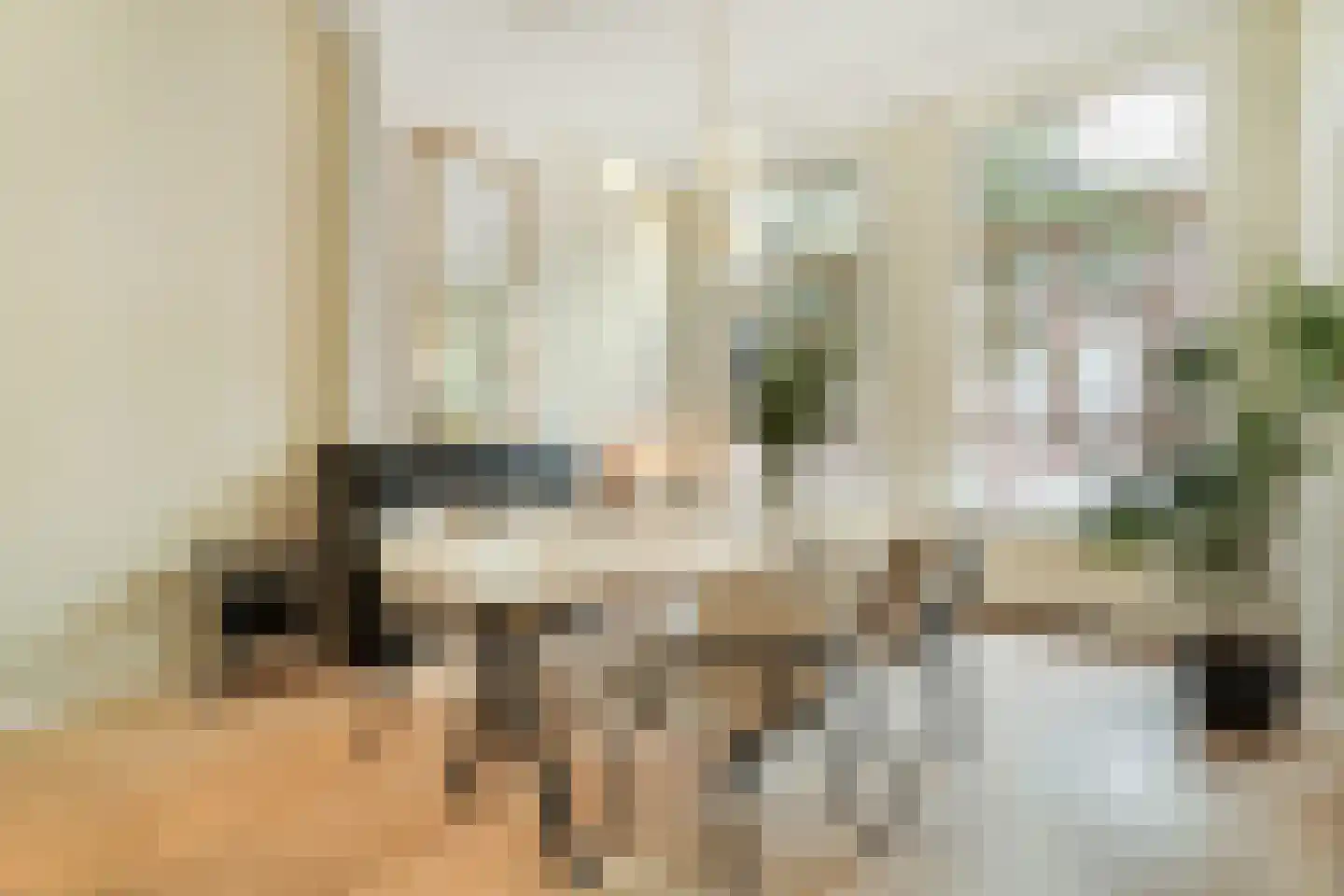Paulus Buijsstraat 16 Den Haag thumbnail 15