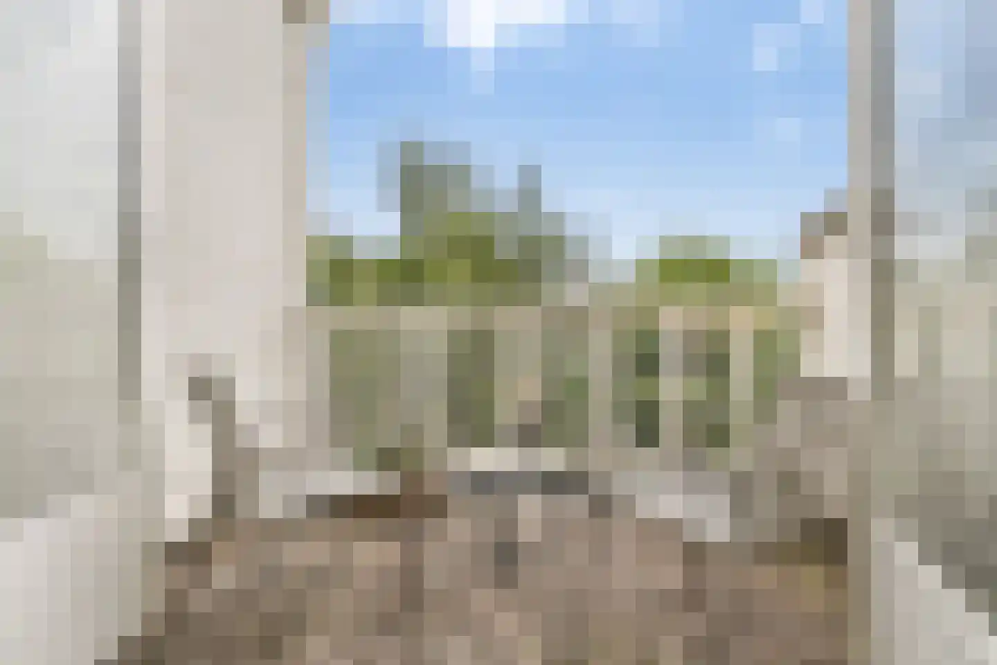 Paulus Buijsstraat 16 Den Haag thumbnail 4