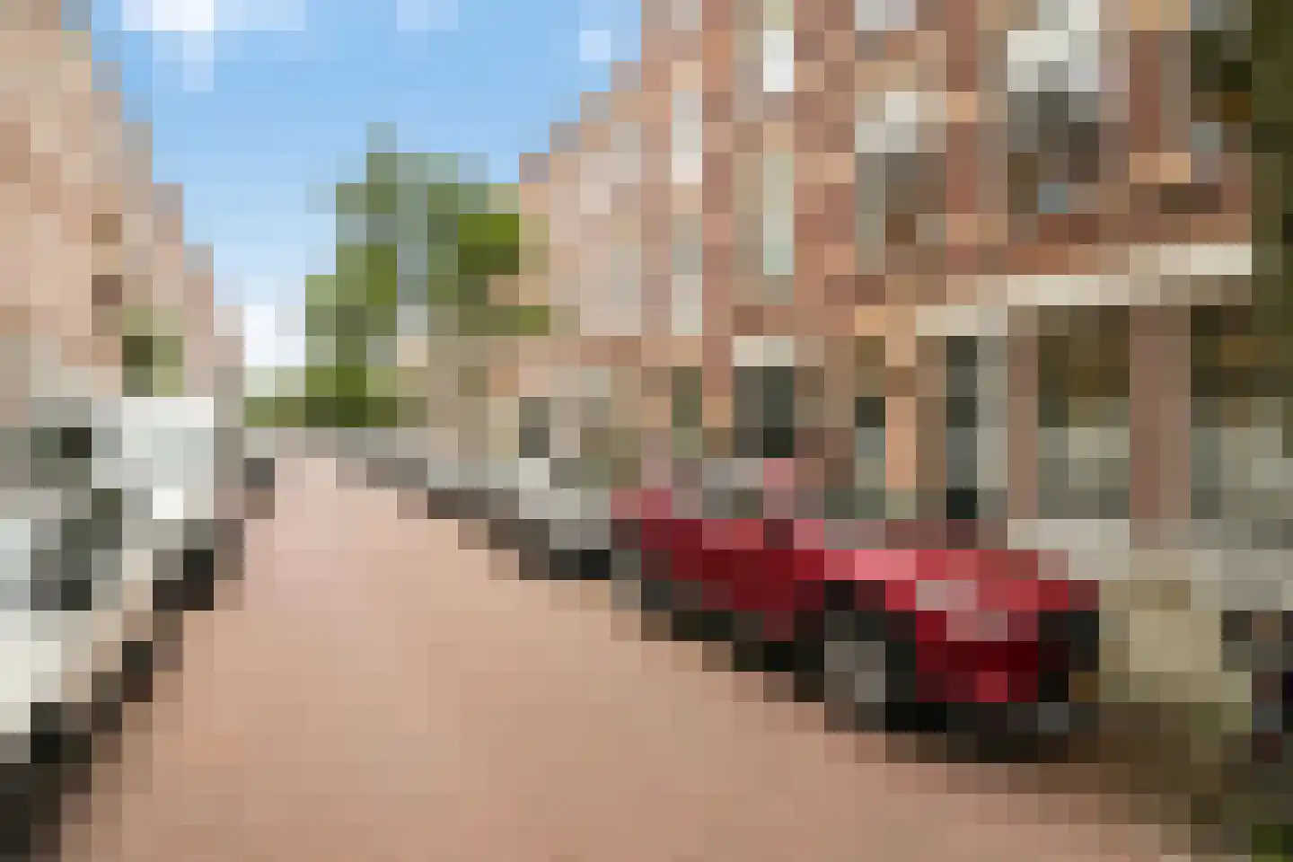 Paulus Buijsstraat 16 Den Haag thumbnail 6