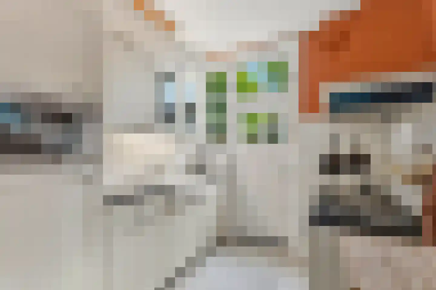 Paulus Buijsstraat 18 Velp thumbnail 19