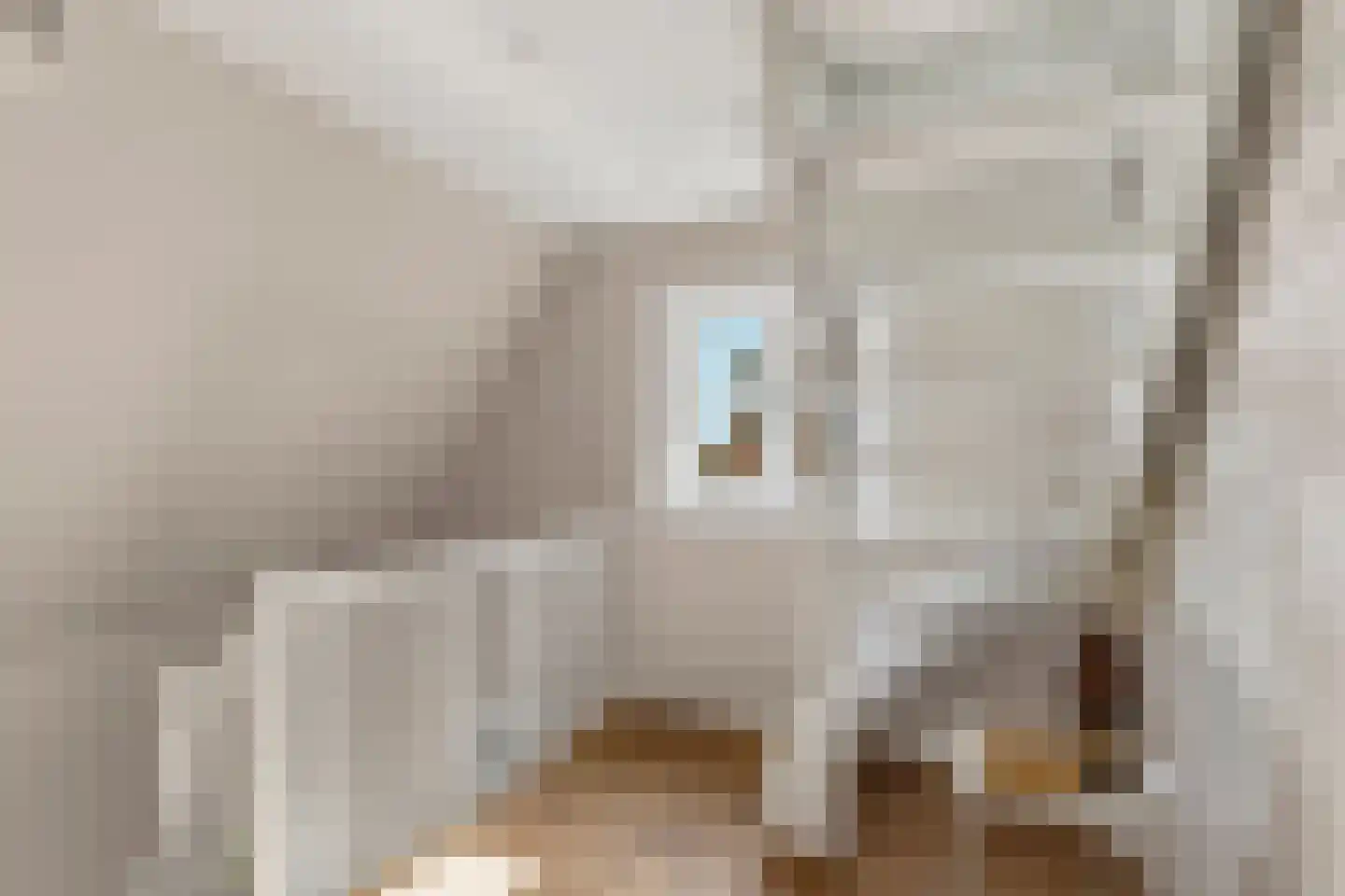 Paulus Buijsstraat 18 Velp thumbnail 35