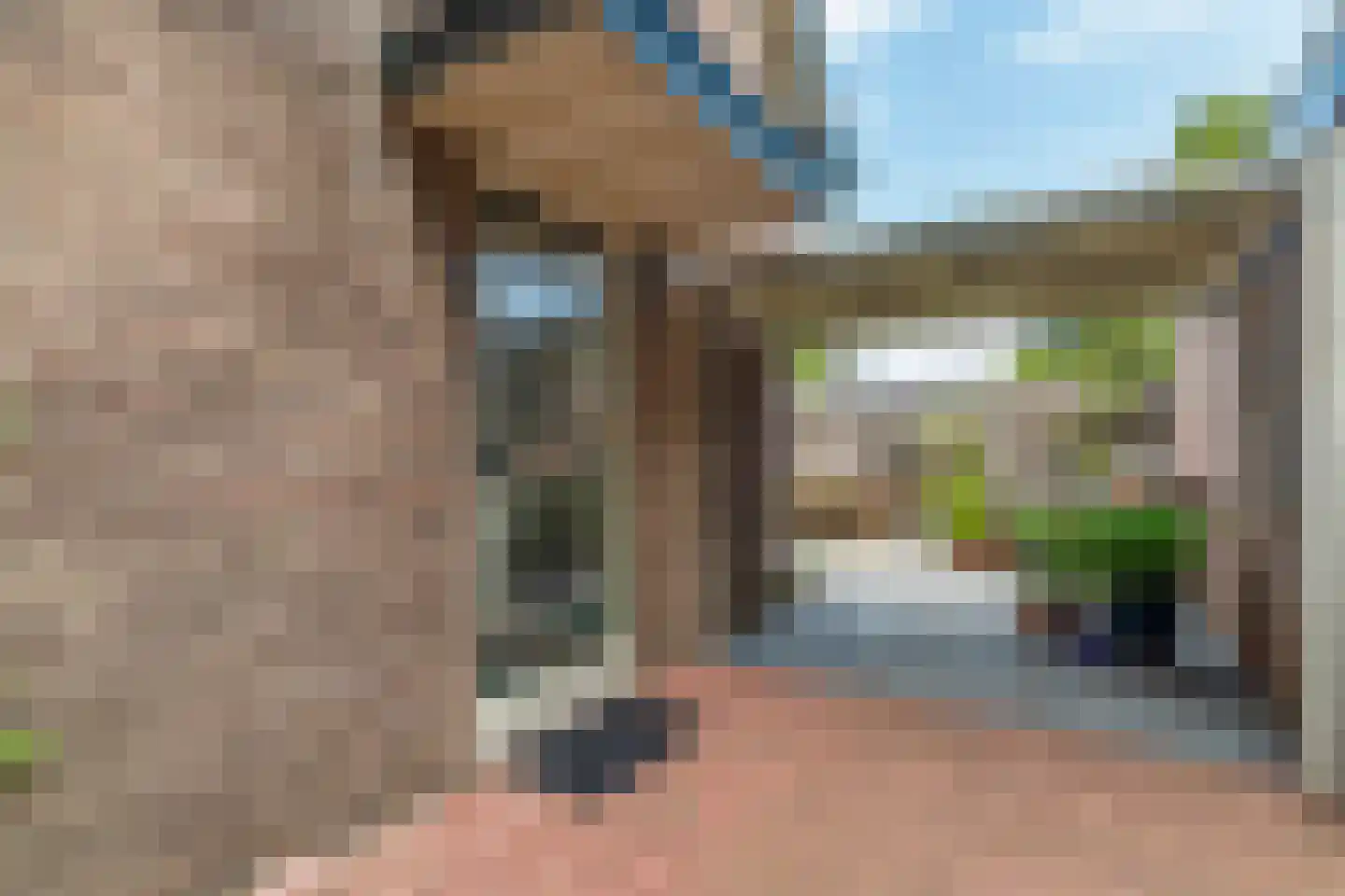 Paulus Buijsstraat 18 Velp thumbnail 9
