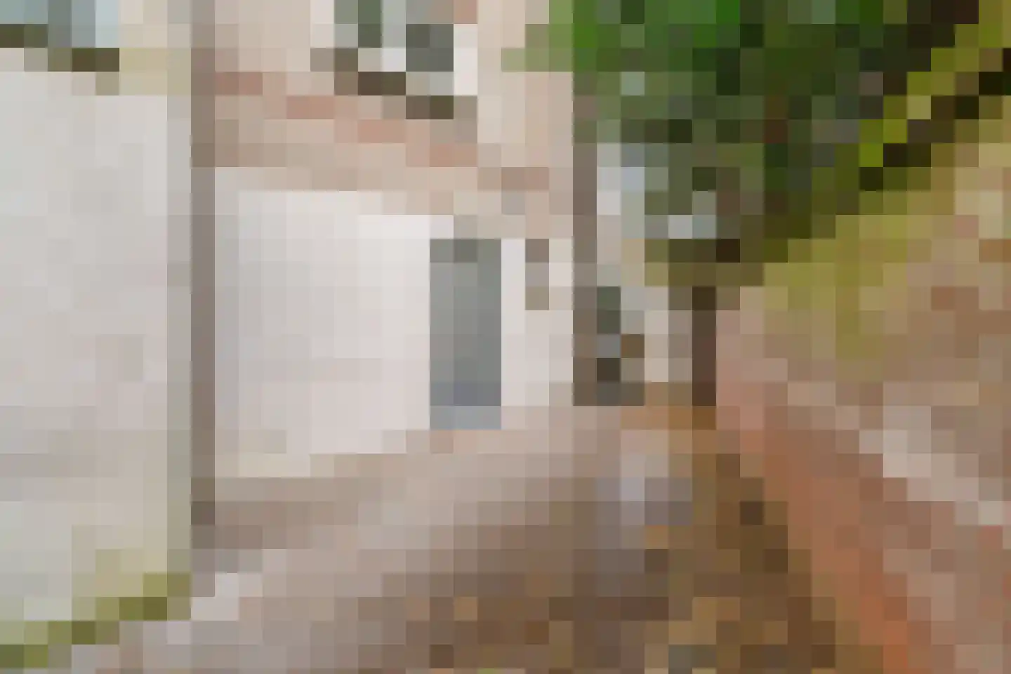 Paulus Buijsstraat 4 Den Haag thumbnail 12