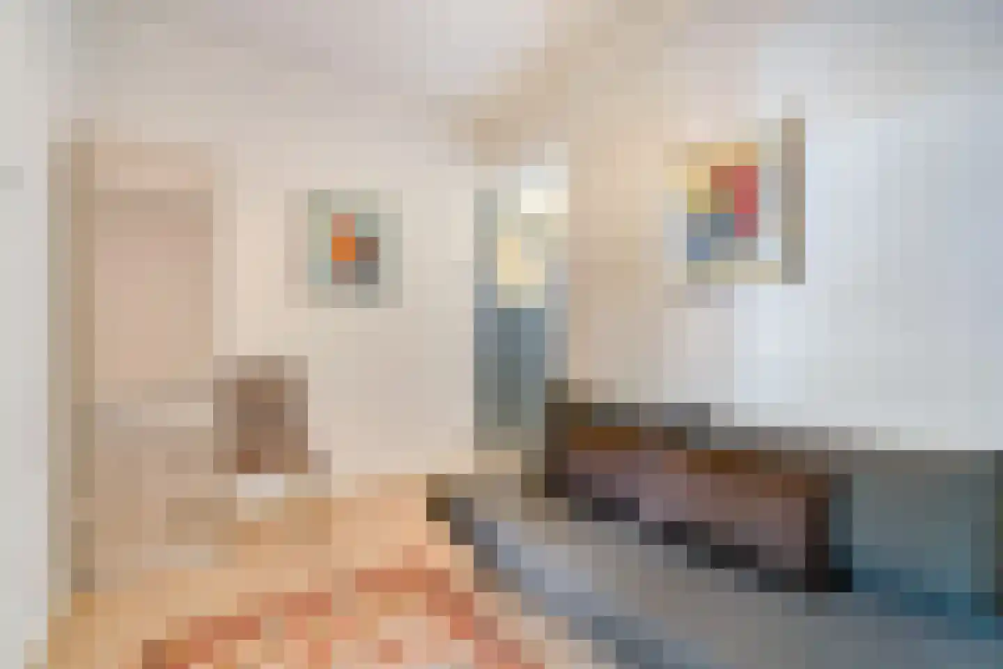 Paulus Buijsstraat 4 Den Haag thumbnail 23