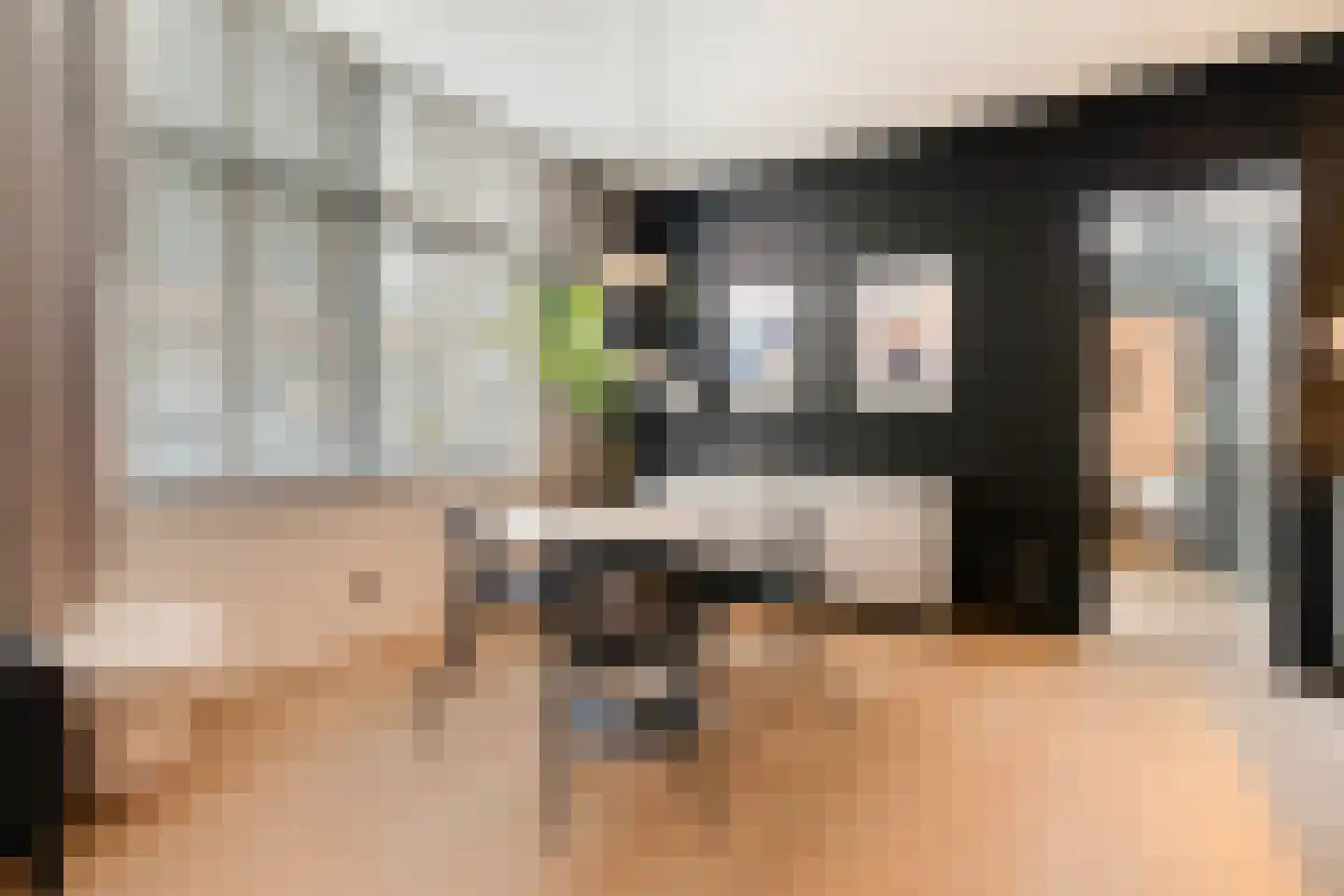 Paulus Buijsstraat 4 Den Haag thumbnail 5