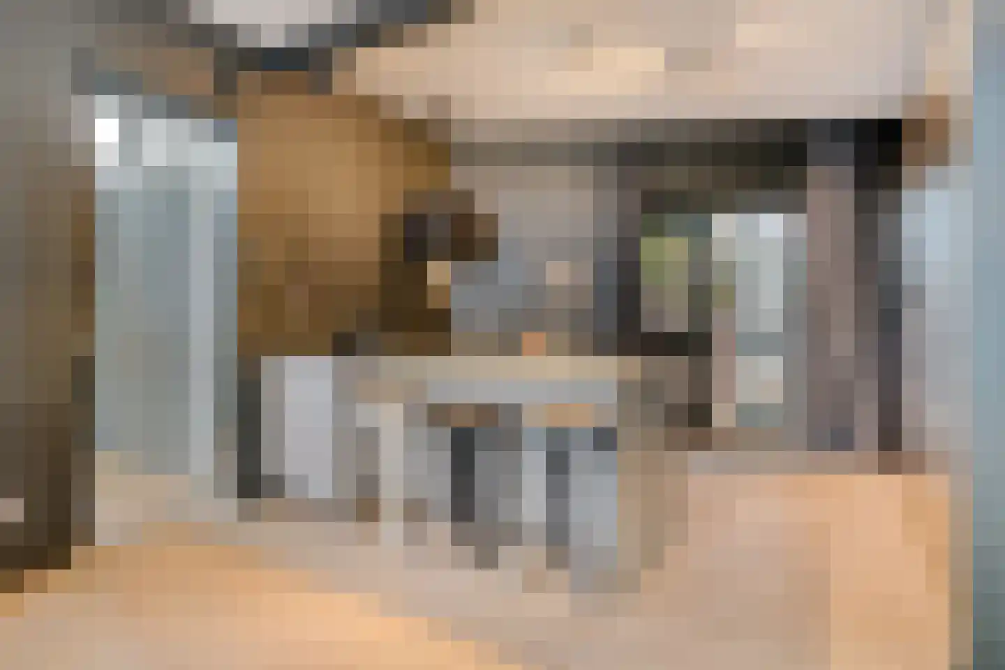 Paulus Buijsstraat 4 Den Haag thumbnail 6