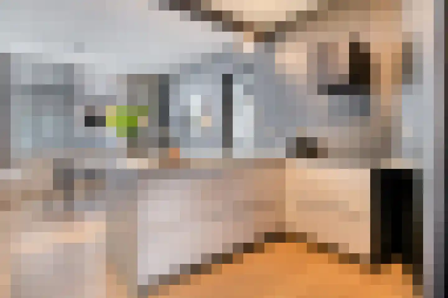 Paulus Buijsstraat 4 Den Haag thumbnail 8