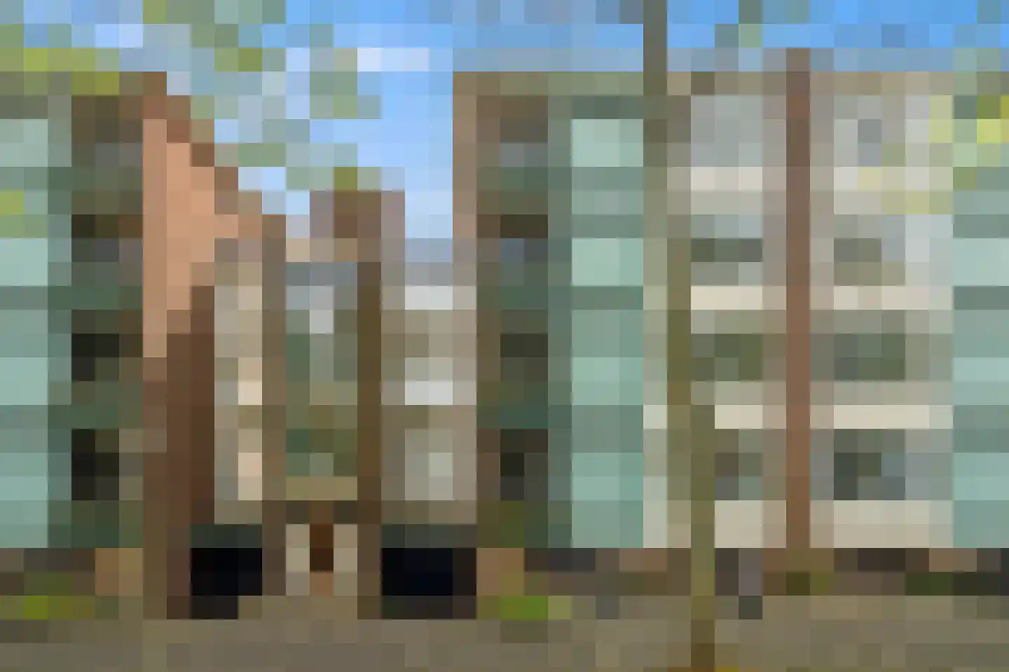 Paulus Buijsstraat 49 in Delft