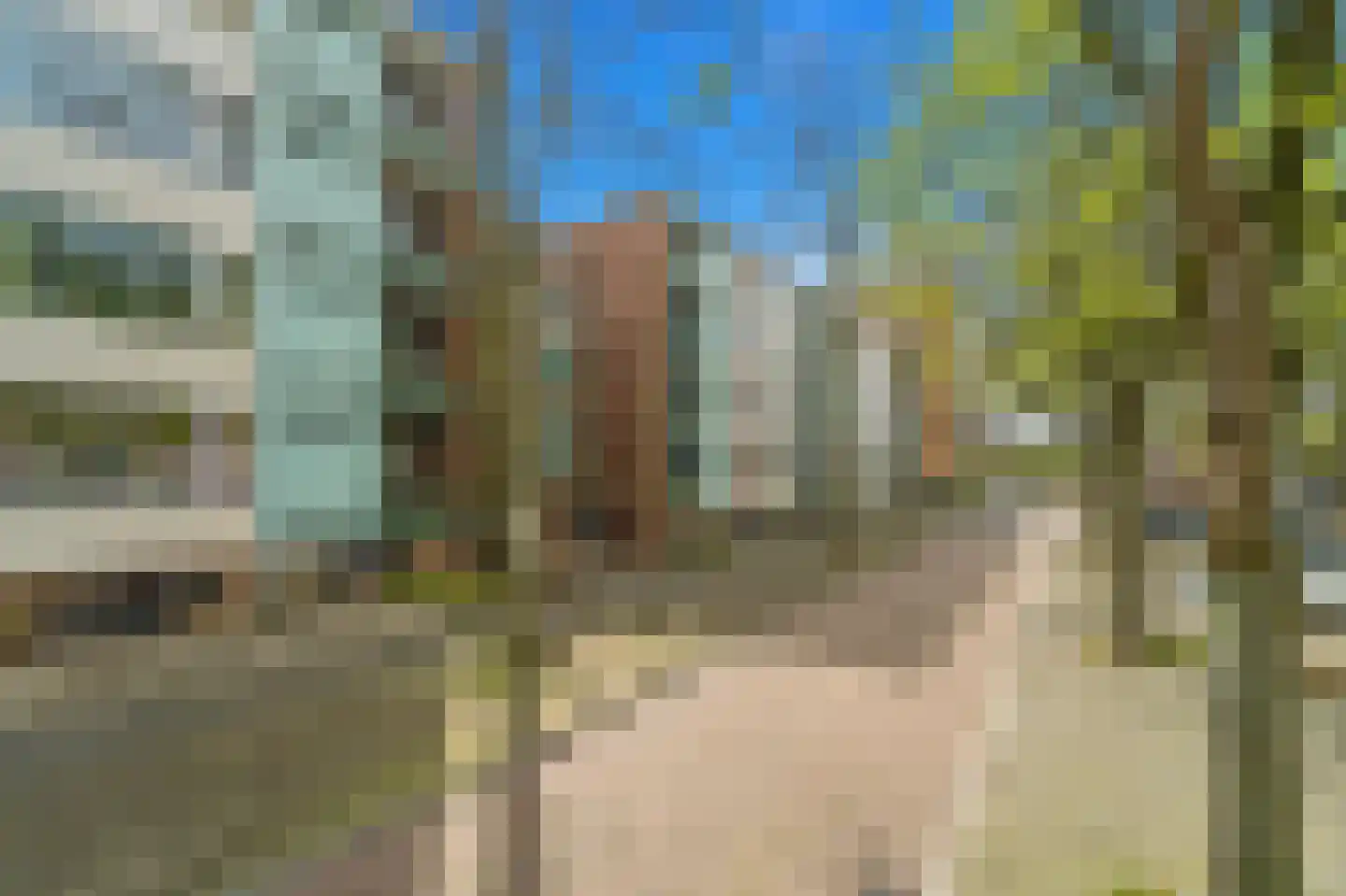 Paulus Buijsstraat 49 Delft thumbnail 29