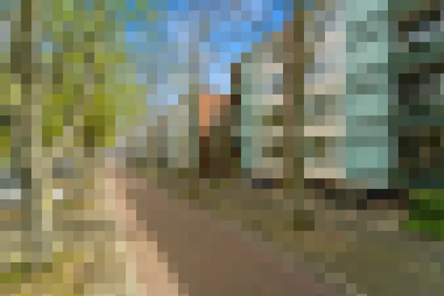 Paulus Buijsstraat 49 Delft thumbnail 30