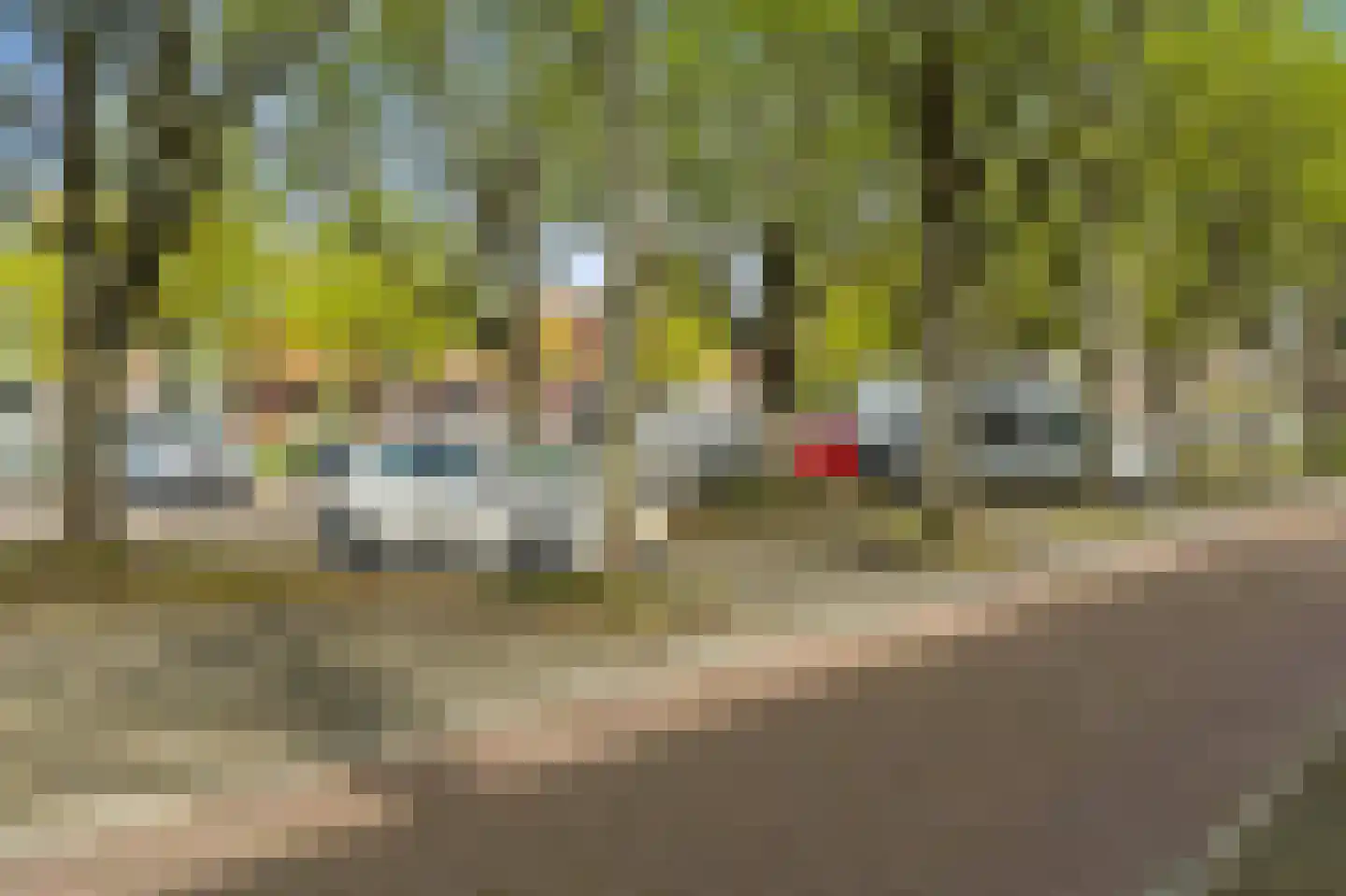 Paulus Buijsstraat 49 Delft thumbnail 33