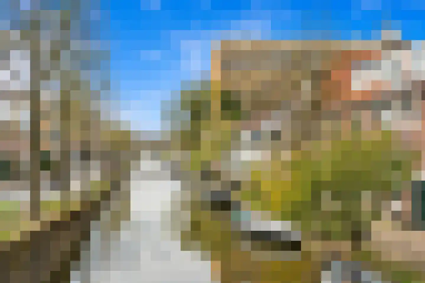 Paulus Buijsstraat 49 Delft thumbnail 35
