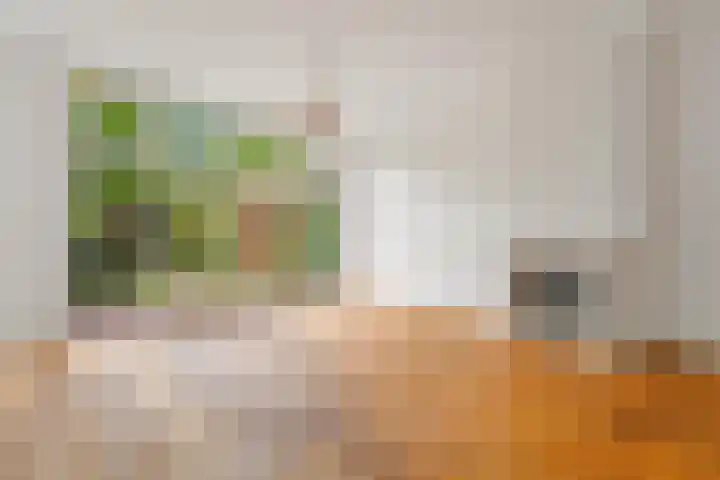 Paulus Buijsstraat 49 E Den Haag