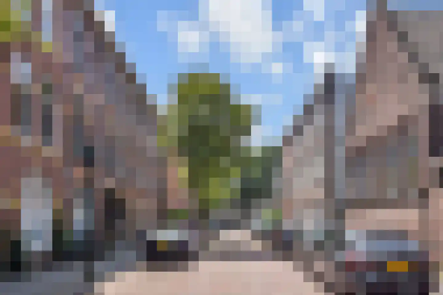 Paulus Buijsstraat 56 Den Haag thumbnail 42