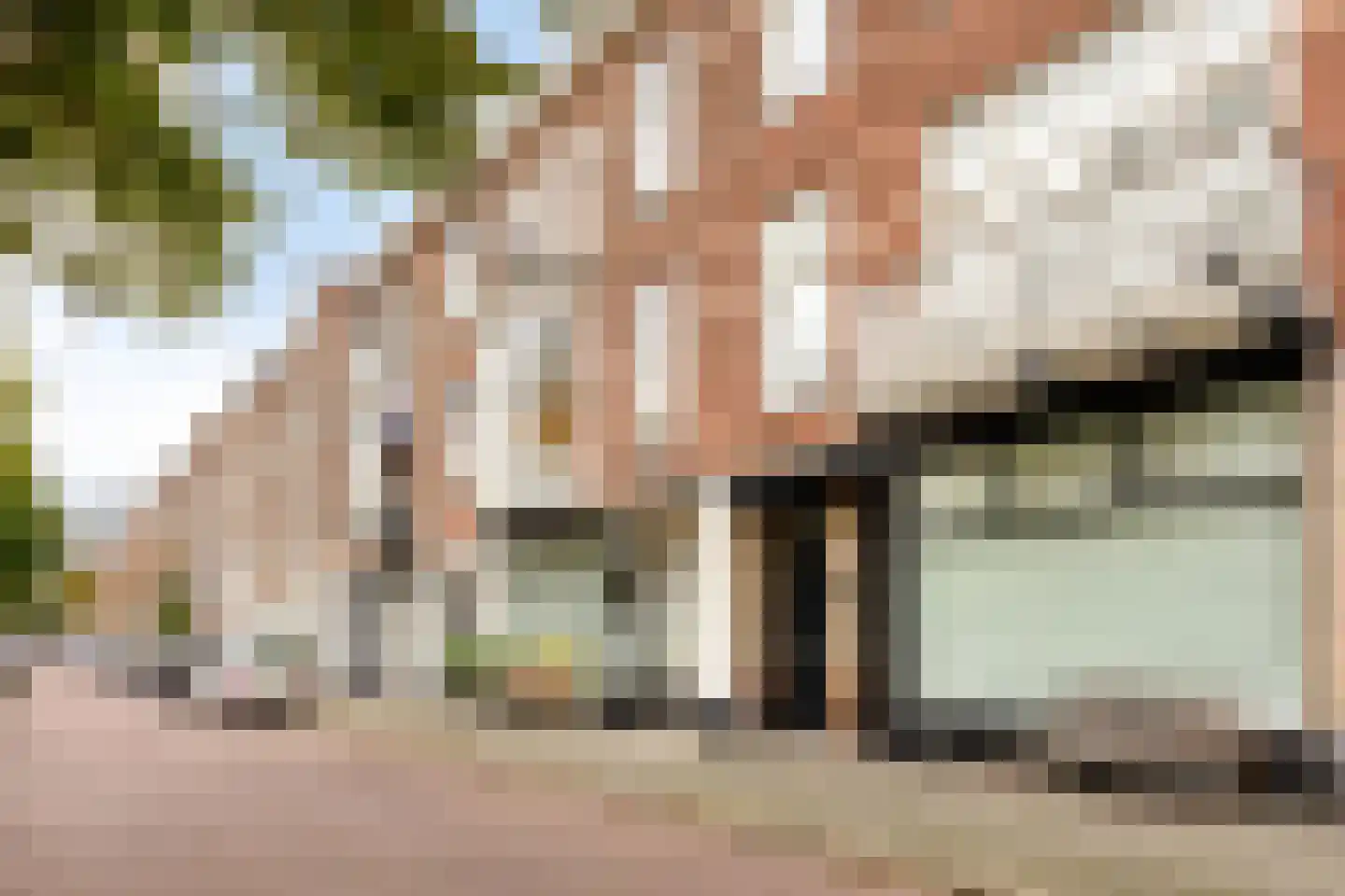 Paulus Buijsstraat 7 Den Haag thumbnail 20